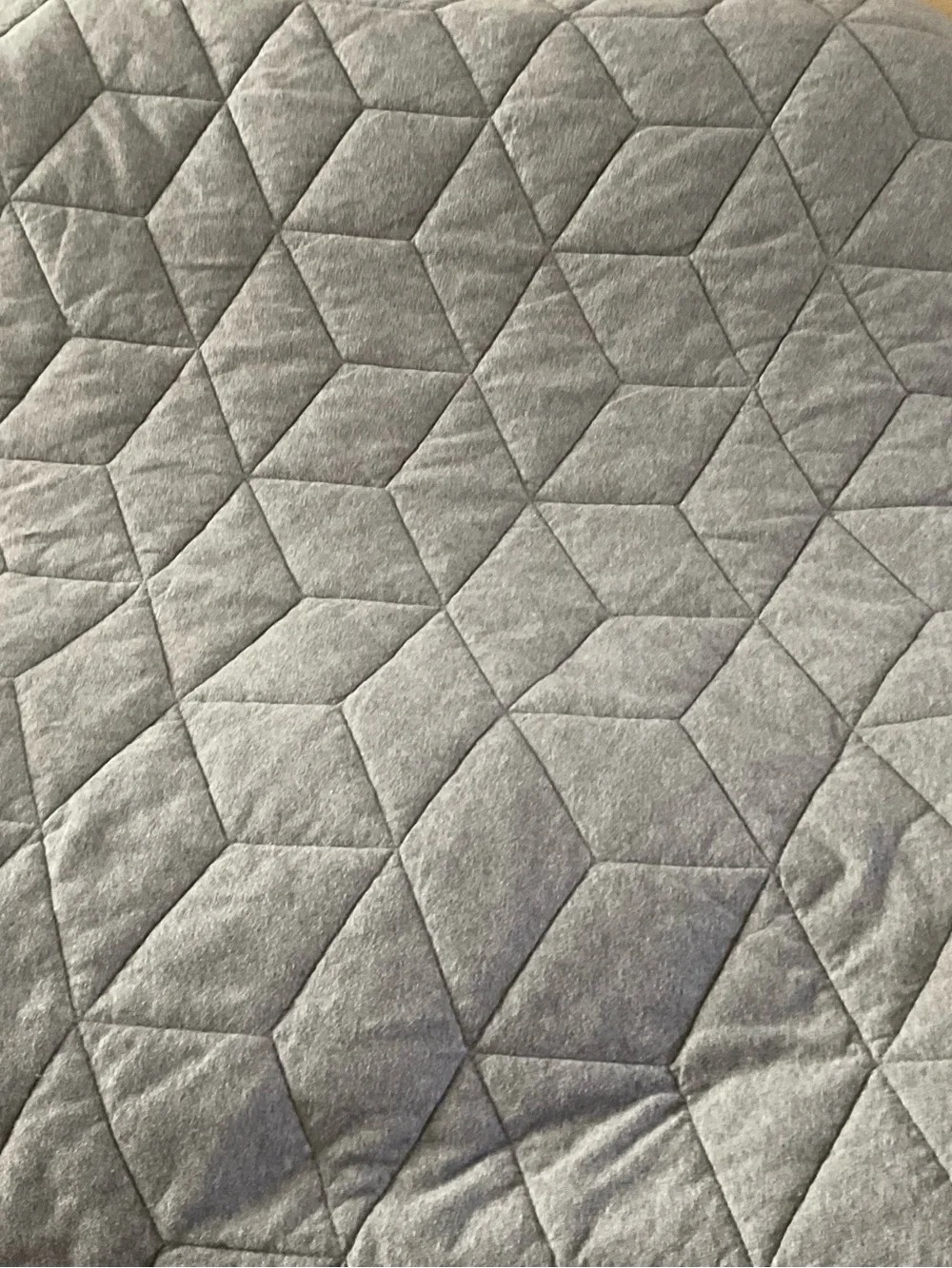 Pottery Barn Kids Gray Jersey Twin Quilt Reversible